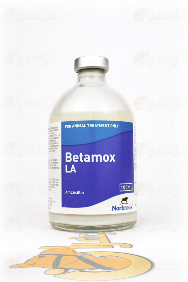 BETAMOX-LA | بيتاموكس | الزعفران | مقويات | بيطرية | هجن | خيول