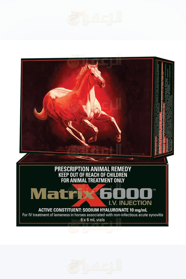 MATRIX 6000