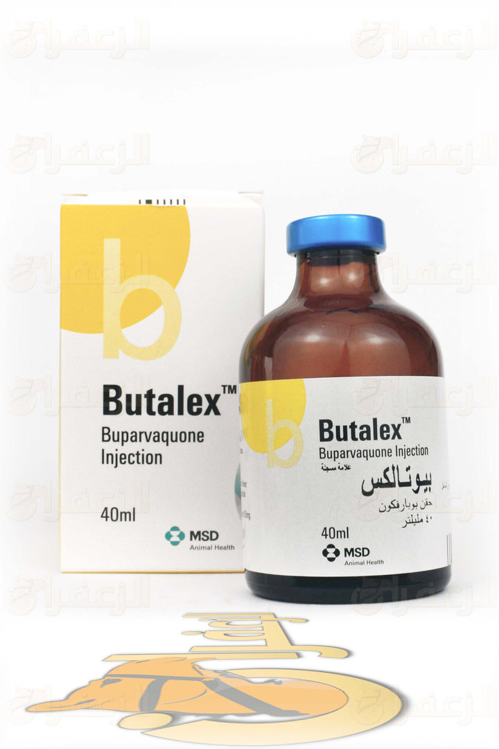 BUTALEX FOR CAMELS AND HORSES | بيوتالكس للخيول والهجن | الزعفران | مقويات | بيطرية | هجن | خيول