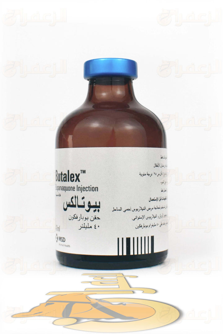 BUTALEX FOR CAMELS AND HORSES | بيوتالكس للخيول والهجن | الزعفران | مقويات | بيطرية | هجن | خيول