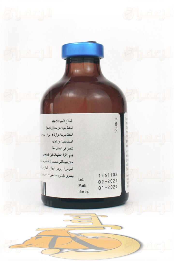 BUTALEX FOR CAMELS AND HORSES | بيوتالكس للخيول والهجن | الزعفران | مقويات | بيطرية | هجن | خيول