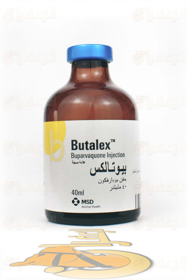 BUTALEX FOR CAMELS AND HORSES | بيوتالكس للخيول والهجن | الزعفران | مقويات | بيطرية | هجن | خيول