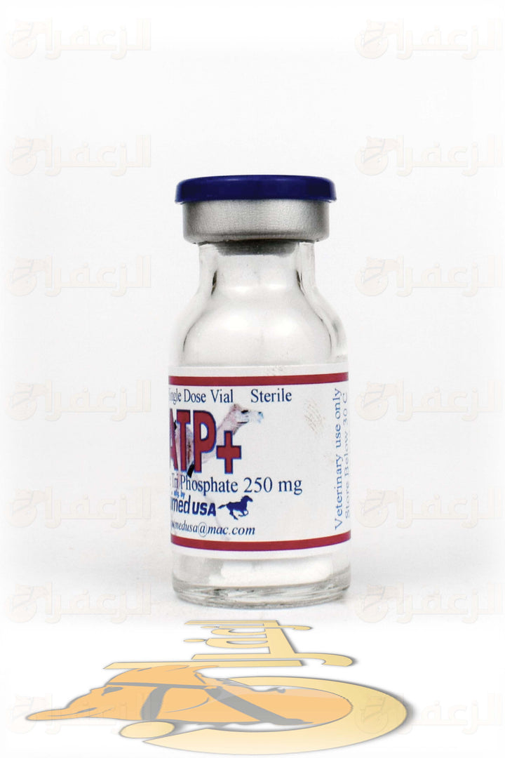 ATP + | اي تي بي بلاس | الزعفران | مقويات | بيطرية | هجن | خيول