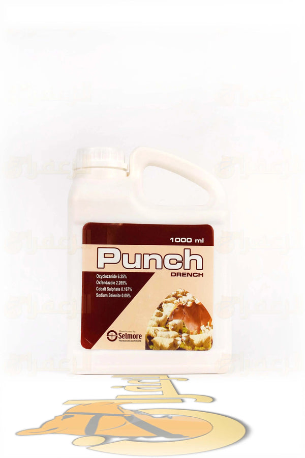 PUNCH DRENCH | برنش درنش | الزعفران | مقويات | بيطرية | هجن | خيول