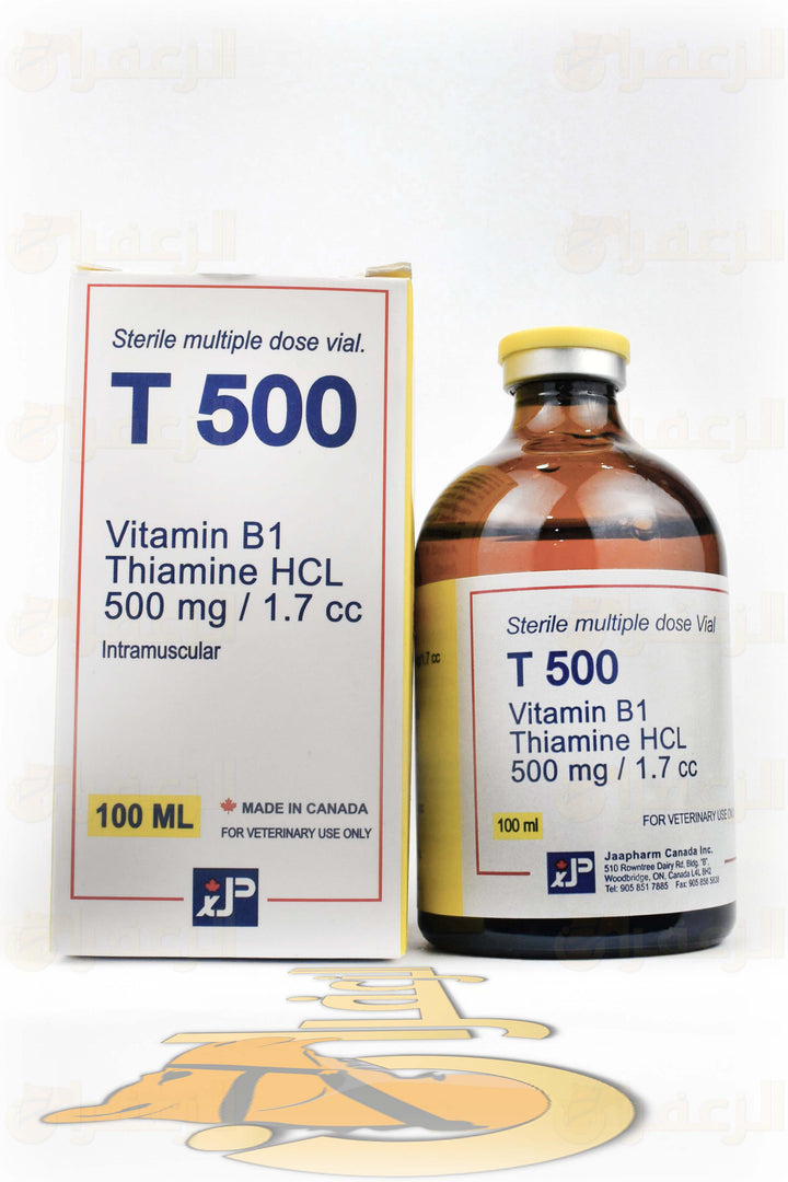 T 500 B1 | تي 500 | الزعفران | مقويات | بيطرية | هجن | خيول