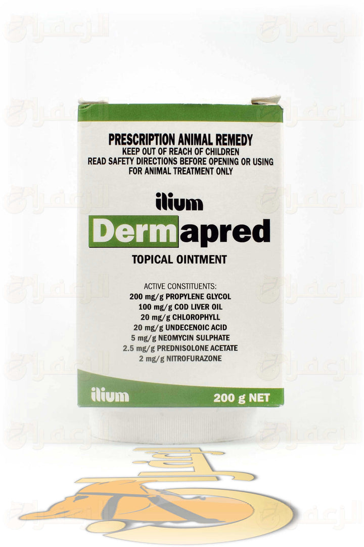 DERMAPRED Cream | ديرما برد كريم | الزعفران | مقويات | بيطرية | هجن | خيول