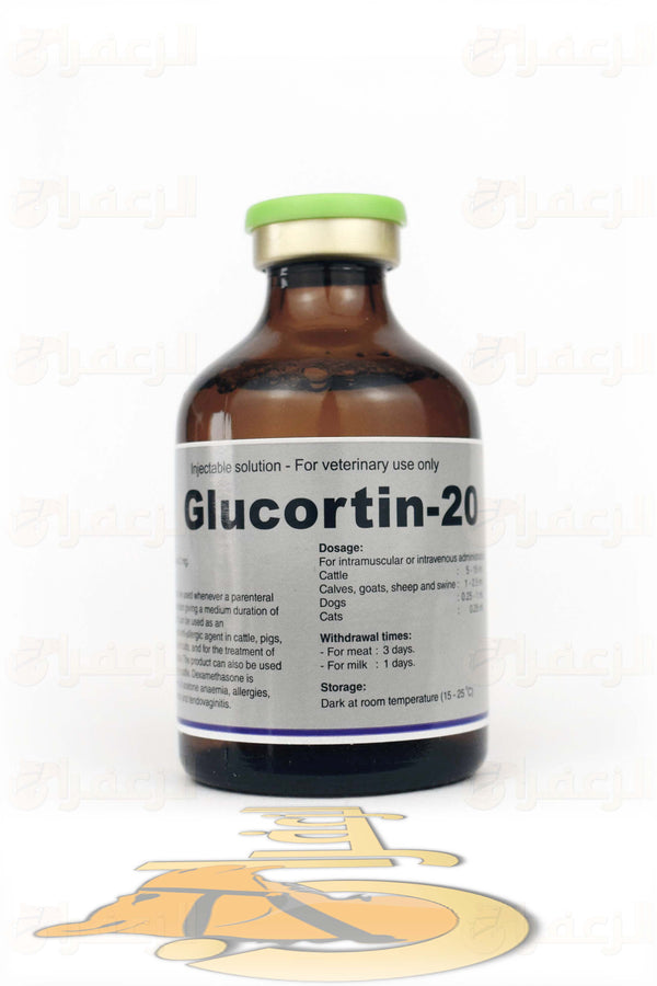 GLUCORTIN 20 | جلوكوتين | الزعفران | مقويات | بيطرية | هجن | خيول