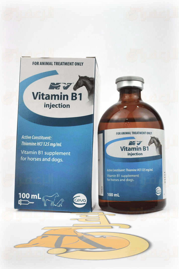 VITAMIN B1 | فيتامين ب1 | الزعفران | مقويات | بيطرية | هجن | خيول