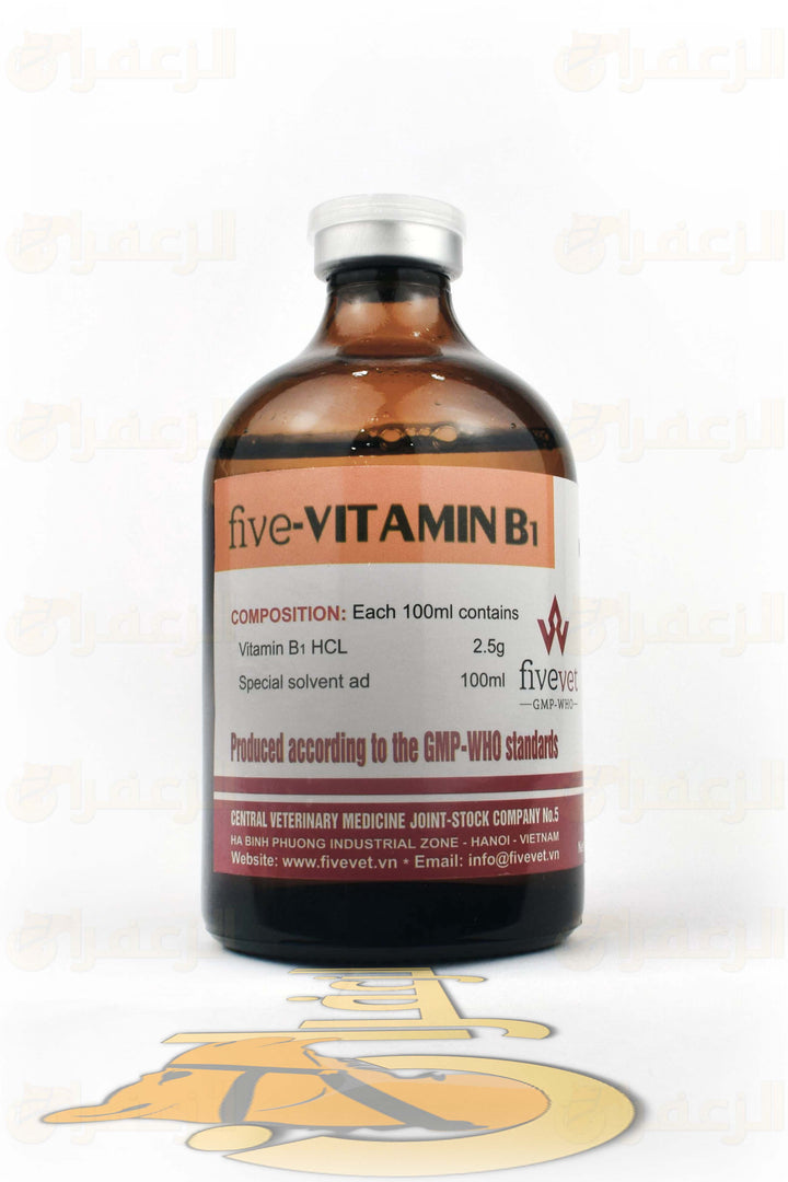FIVE-VITAMIN B1 | فيتامين ب1 | الزعفران | مقويات | بيطرية | هجن | خيول