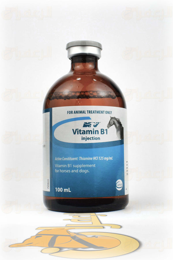 VITAMIN B1 | فيتامين ب1 | الزعفران | مقويات | بيطرية | هجن | خيول