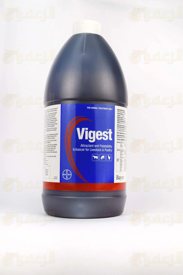 VIGEST 2 LTR | فيجيست 2 لتر | الزعفران | مقويات | بيطرية | هجن | خيول