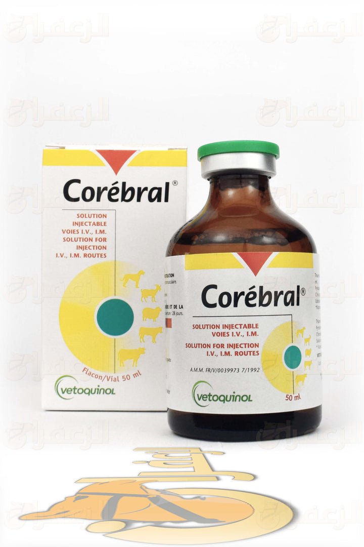 COREBRAL | كوربرال | الزعفران | مقويات | بيطرية | هجن | خيول