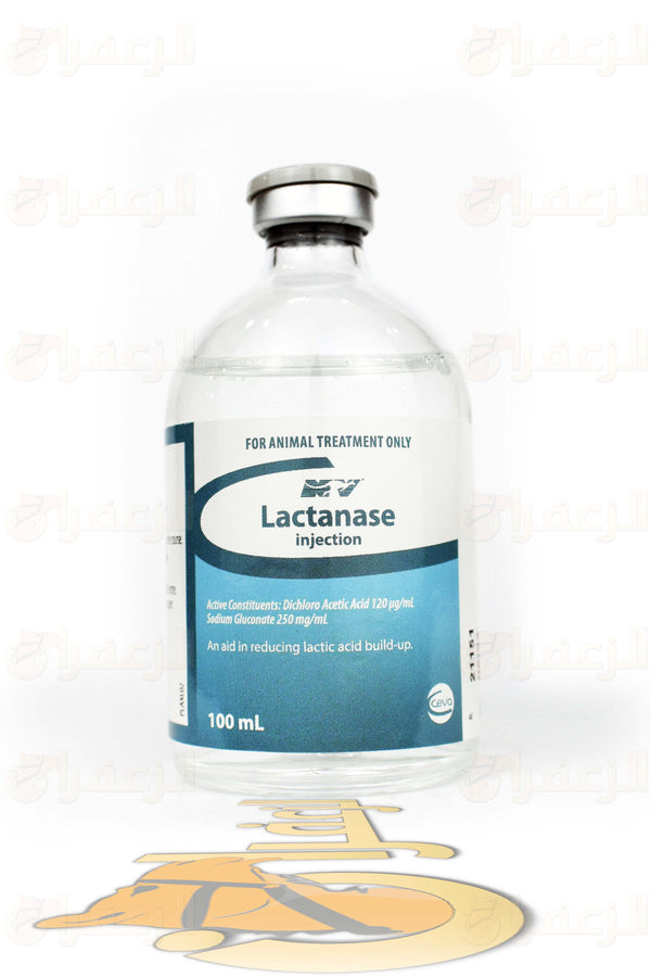 LACTANASE | لاكتاناز | الزعفران | مقويات | بيطرية | هجن | خيول