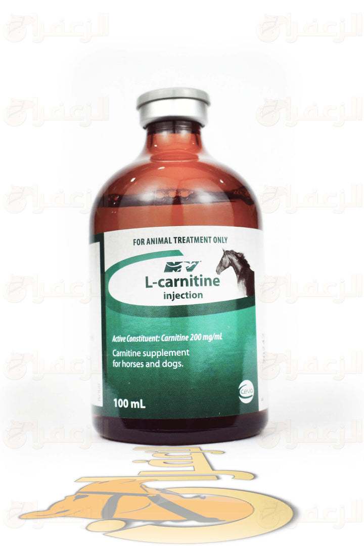 L-CARNITINE | ل كارنيتين | الزعفران | مقويات | بيطرية | هجن | خيول