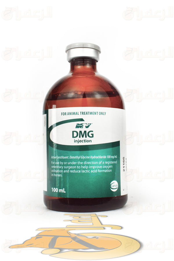 DMG | دي ام جي | الزعفران | مقويات | بيطرية | هجن | خيول